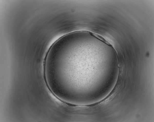 X0000094341151200711091423