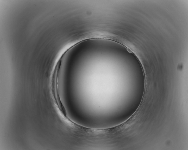 X0000094341152200711091423
