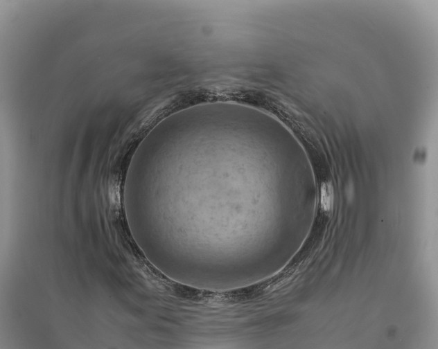 X0000094341155200711091422