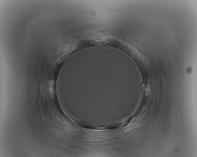 X0000094341156200711091422