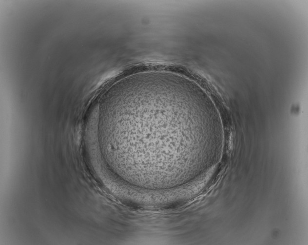 X0000094341157200711091422