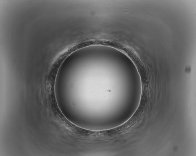 X0000094341159200711091422