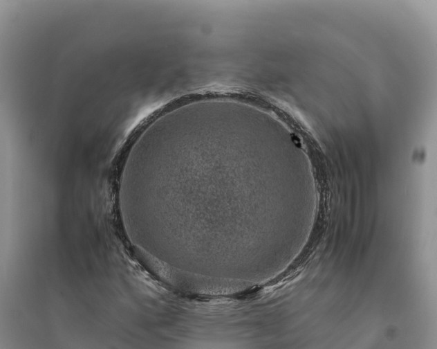 X0000094341160200711091422