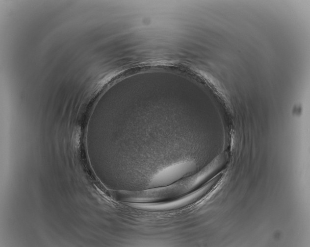 X0000094341161200711091422