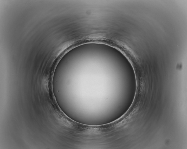 X0000094341162200711091422