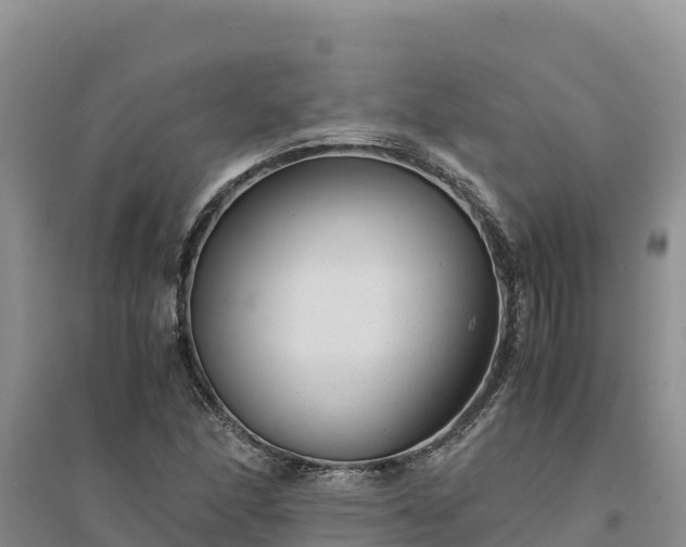 X0000094341166200711091422
