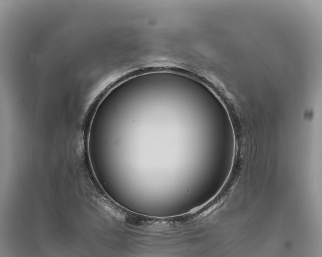 X0000094341167200711091422