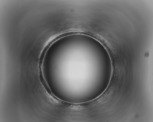 X0000094341168200711091422