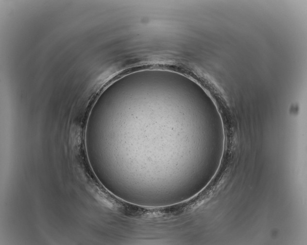 X0000094341169200711091422