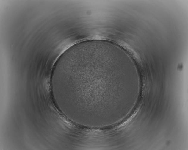 X0000094341170200711091422