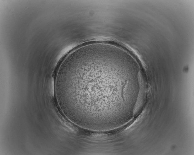 X0000094341171200711091422