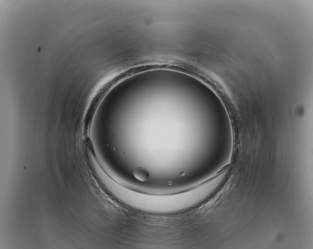 X0000094341172200711091422