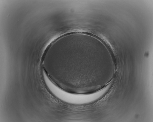 X0000094341173200711091422