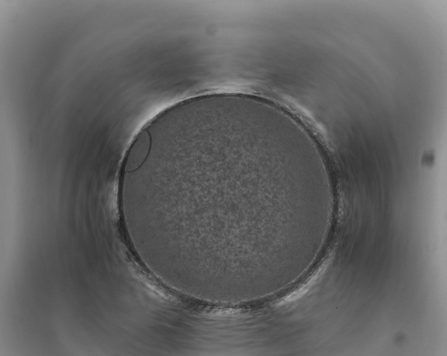 X0000094341174200711091422