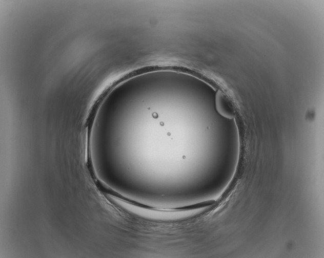X0000094341175200711091422