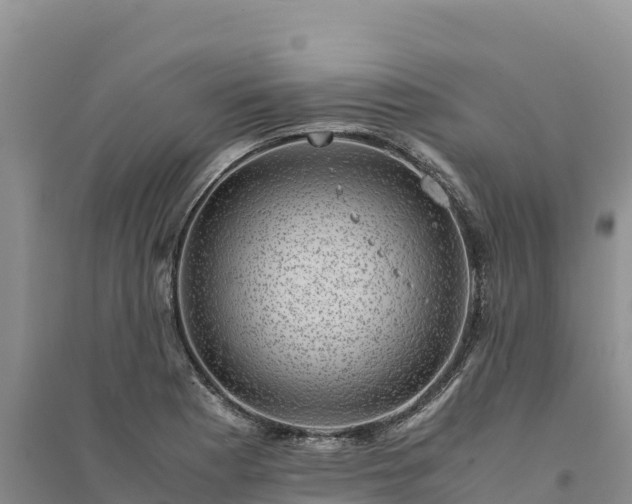 X0000094341177200711091422