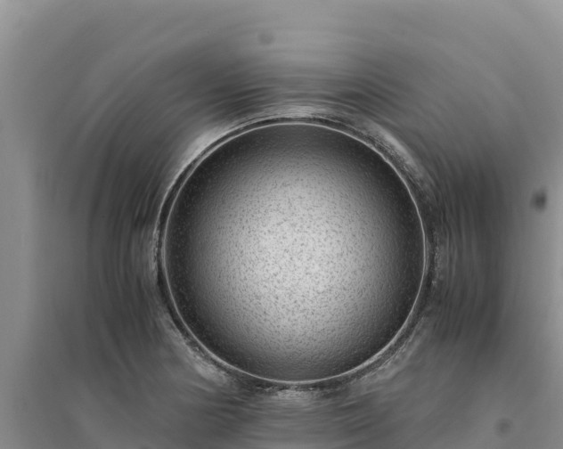 X0000094341178200711091422