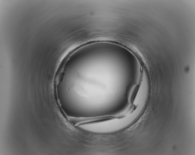 X0000094341181200711091422