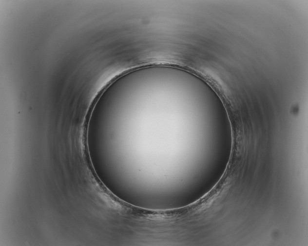 X0000094341182200711091422