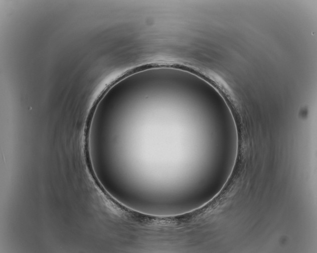 X0000094341183200711091422