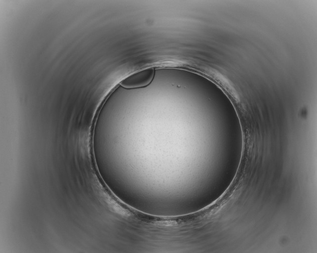 X0000094341186200711091422