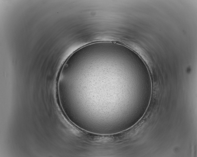 X0000094341187200711091422