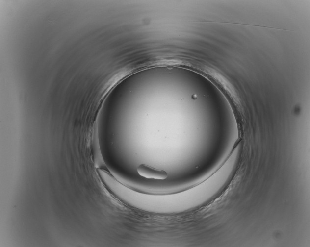 X0000094341193200711091422