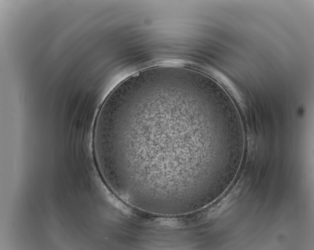 X0000094341194200711091422