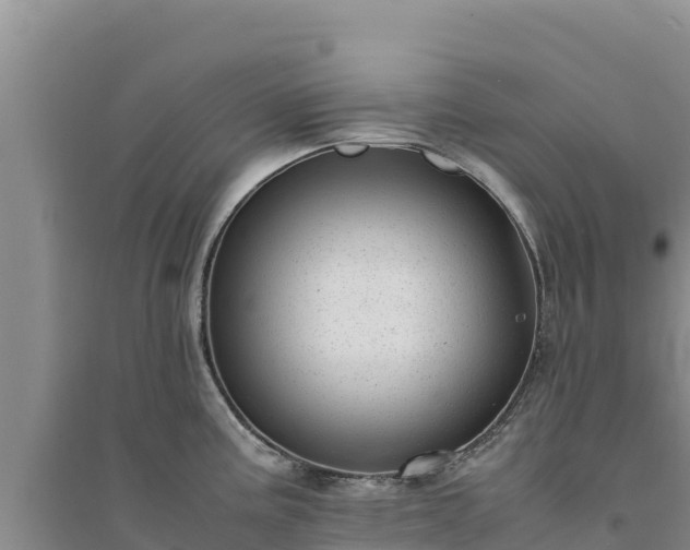 X0000094341195200711091422