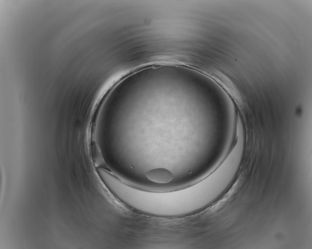 X0000094341196200711091422