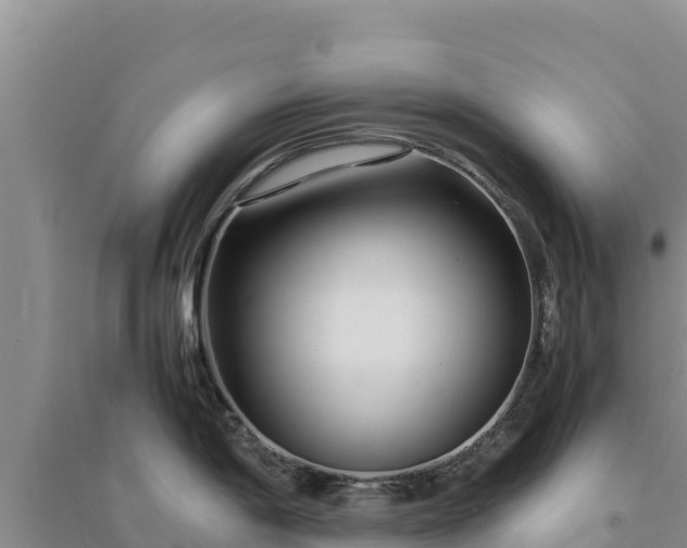 X0000094341198200711091422