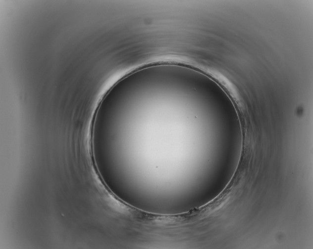 X0000094341199200711091422