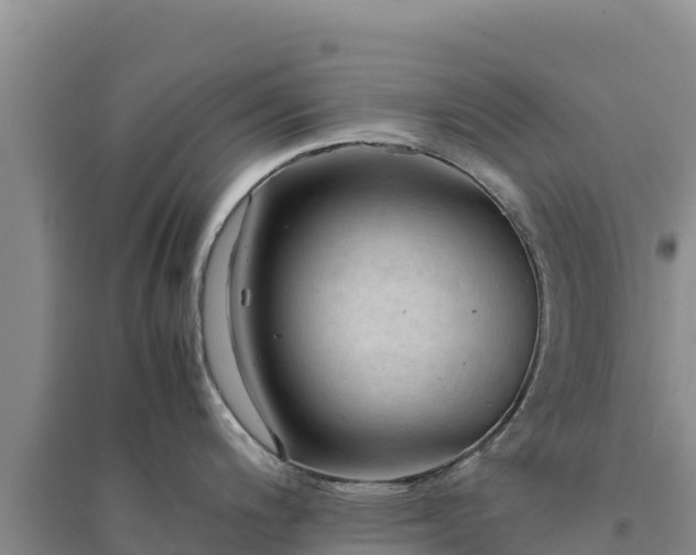 X0000094341200200711091422