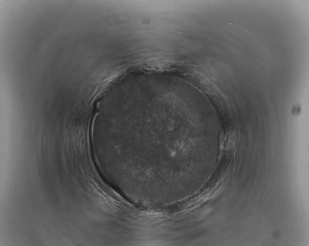 X0000094341202200711091421