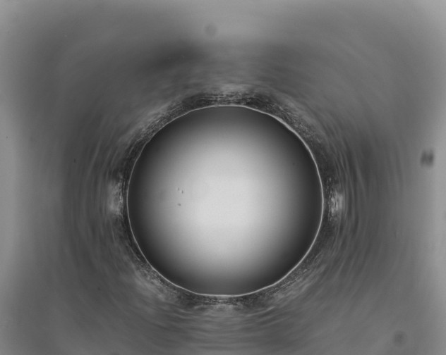X0000094341204200711091421
