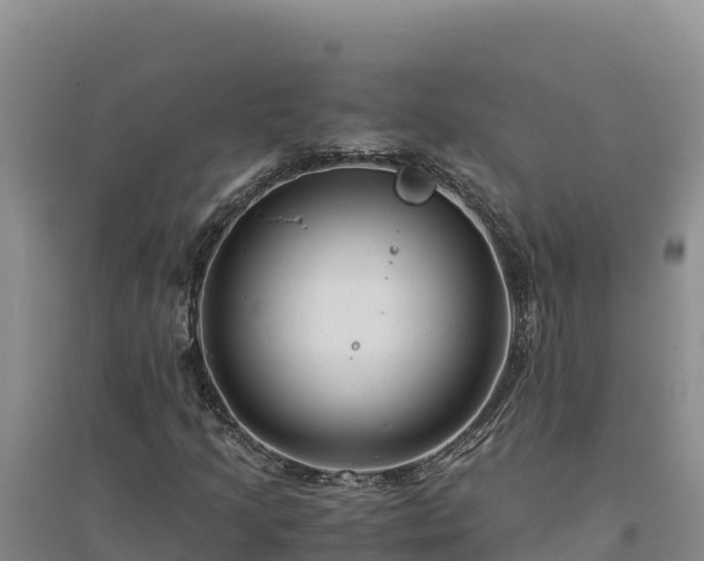 X0000094341205200711091421