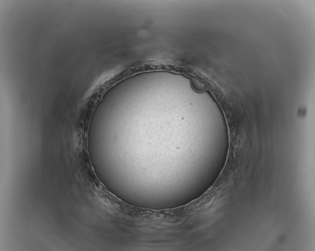 X0000094341207200711091421