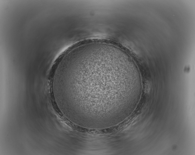 X0000094341208200711091421
