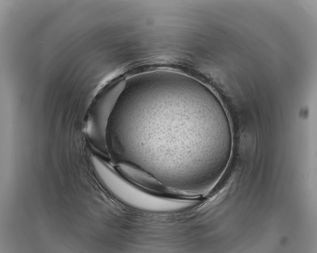 X0000094341210200711091421