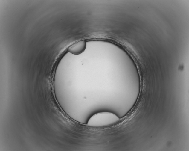 X0000094341212200711091421