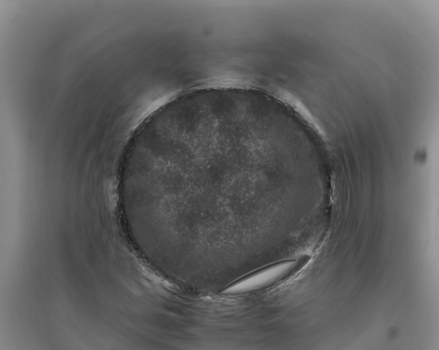 X0000094341213200711091421