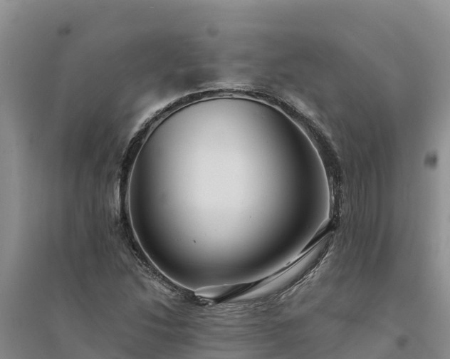X0000094341214200711091421