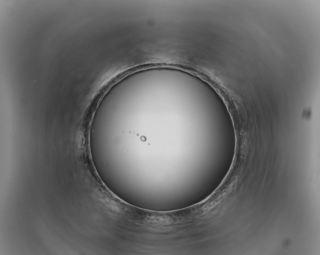 X0000094341215200711091421