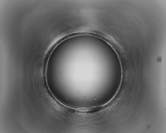 X0000094341216200711091421