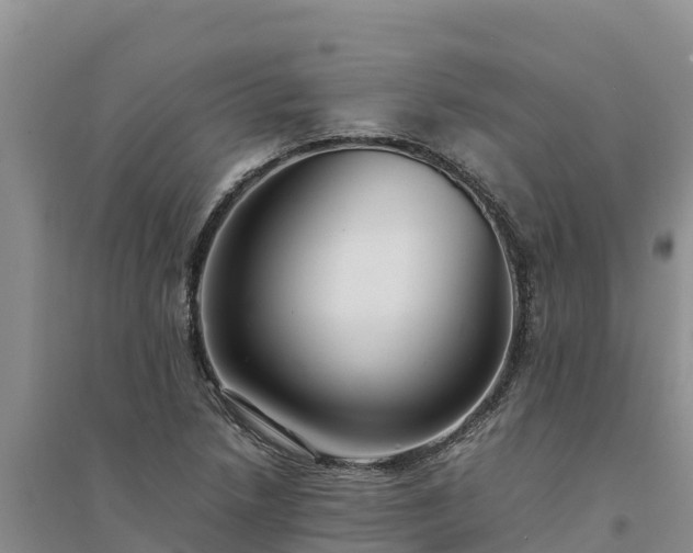 X0000094341218200711091421