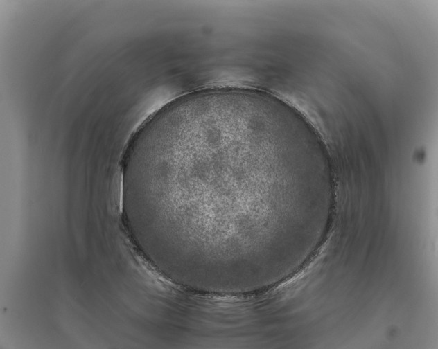X0000094341219200711091421