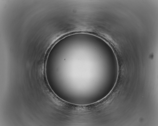X0000094341220200711091421