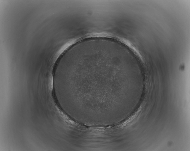 X0000094341221200711091421