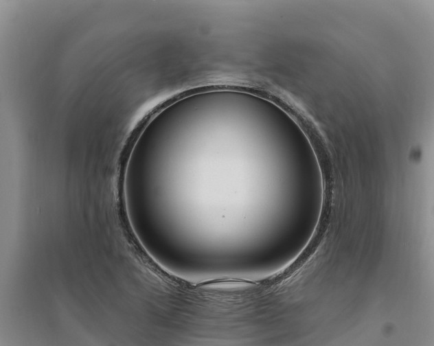 X0000094341222200711091421