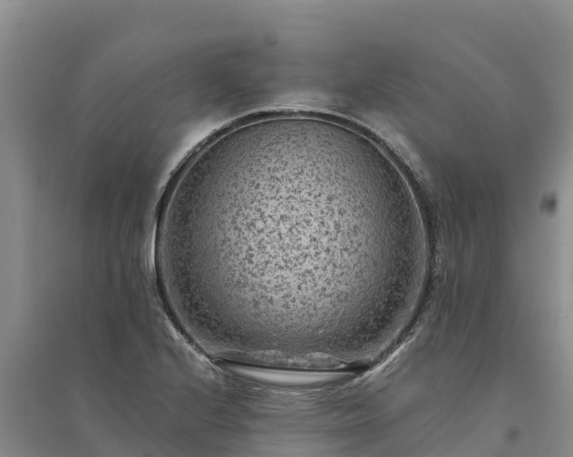 X0000094341224200711091421